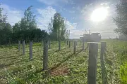 ИД 000724 Жилой дом Анталия К122-1 (деревня Ведищево) — фото объекта